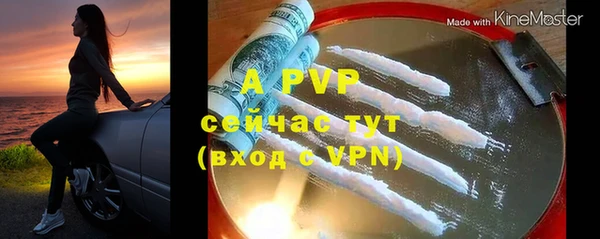 гидра Абинск