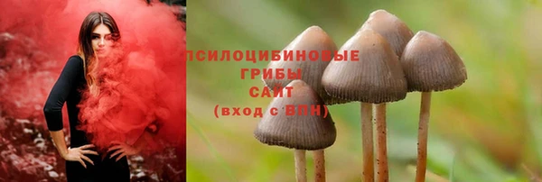 гидра Абинск