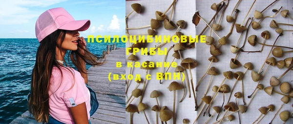 гидра Абинск